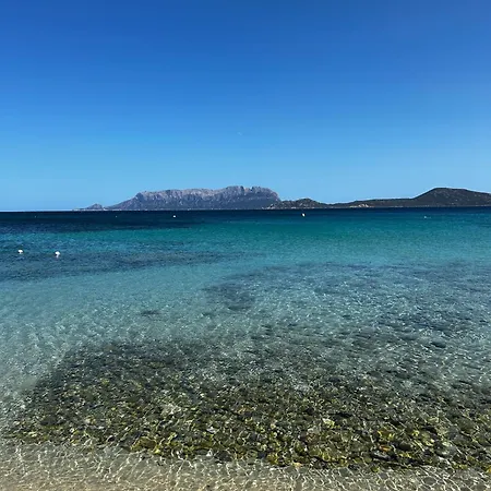 La Casetta Di Irene * 奧爾比亞
