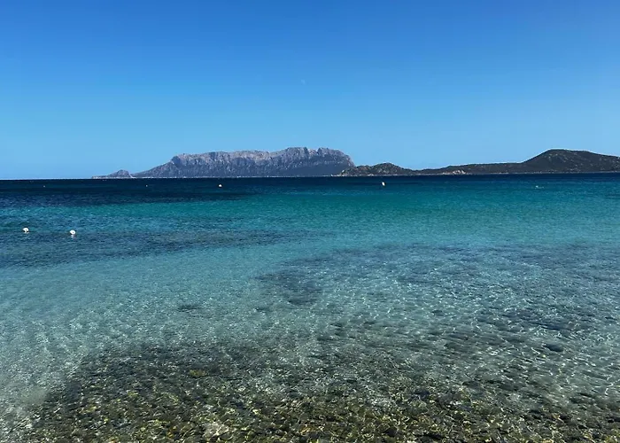 La Casetta Di Irene * أولبيا